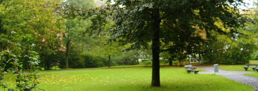 Burgerpark Burgerpark
