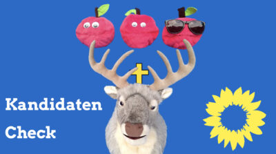 Illustration Kandidaten Check 2020