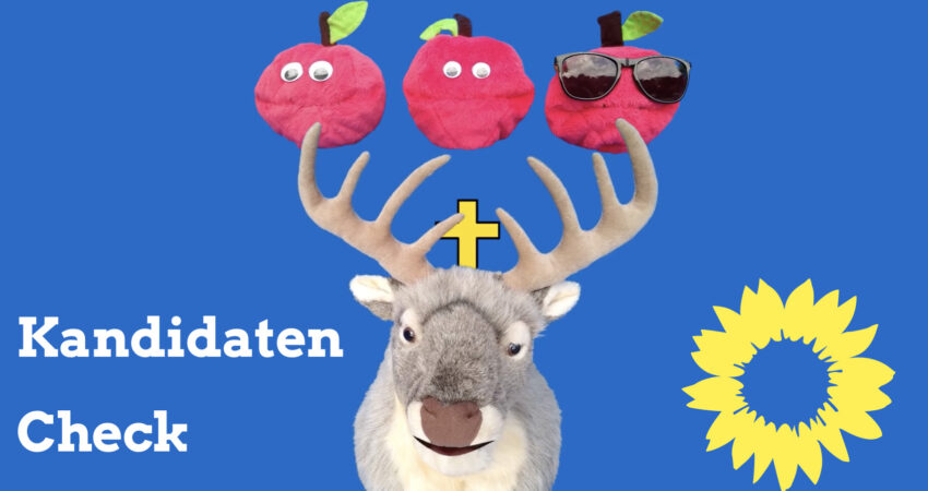 Illustration Kandidaten Check 2020