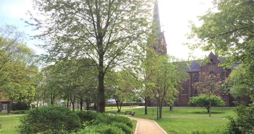 Bäume im Burgerpark Rheurdt Bäume im Burgerpark Rheurdt